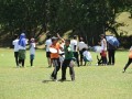 Tn dsc 0973